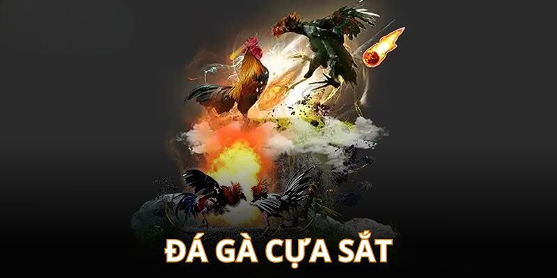 Đá gà cựa sắt cực bất ngờ và lôi cuốn