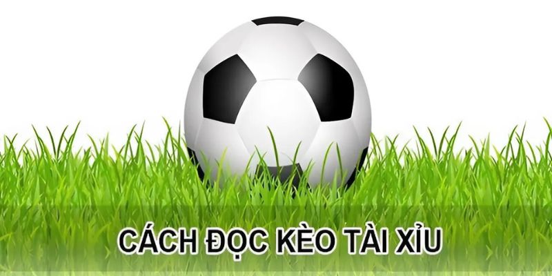 Đọc kèo tài xỉu