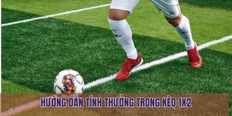 Hướng dẫn tính thưởng trong kèo 1x2